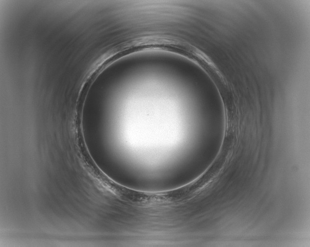 X0000065260786200602171453