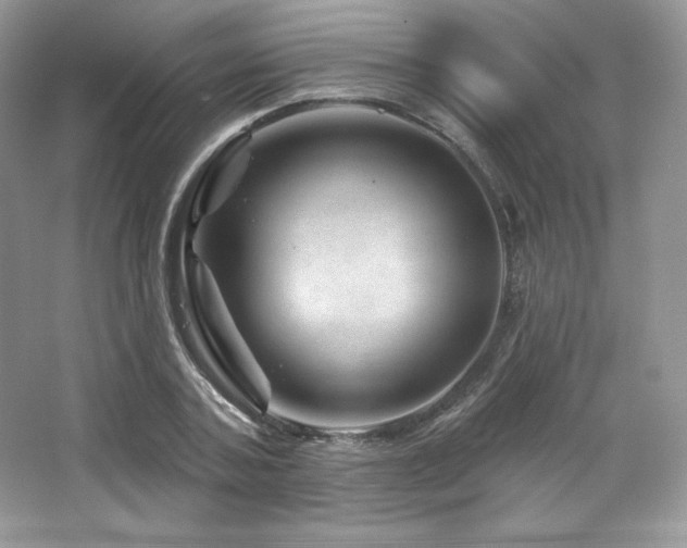 X0000065260787200602171453