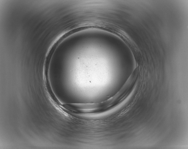 X0000065260788200602171453