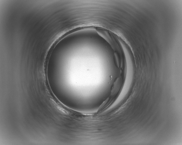 X0000065260789200602171453