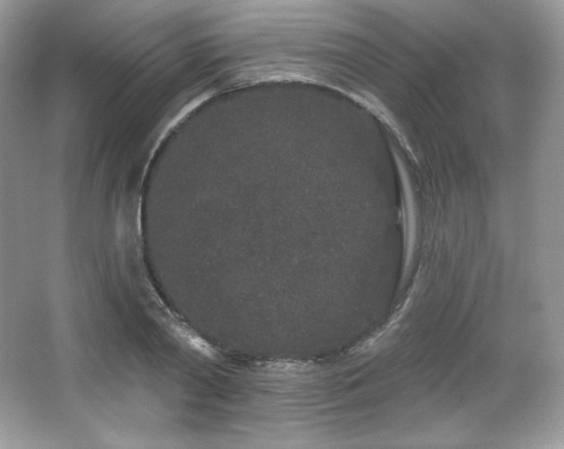 X0000065260790200602171453