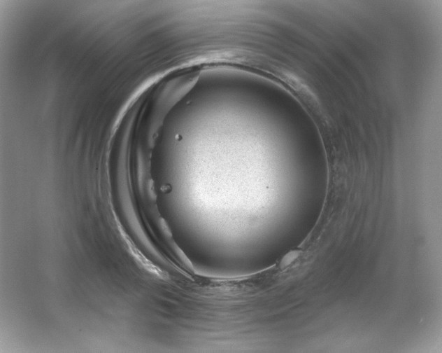 X0000065260792200602171453