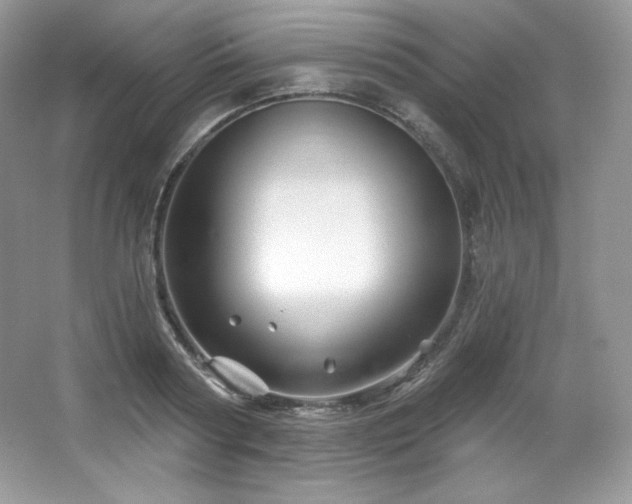 X0000065260794200602171453