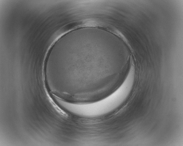 X0000065260795200602171453