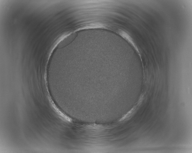 X0000065260797200602171453