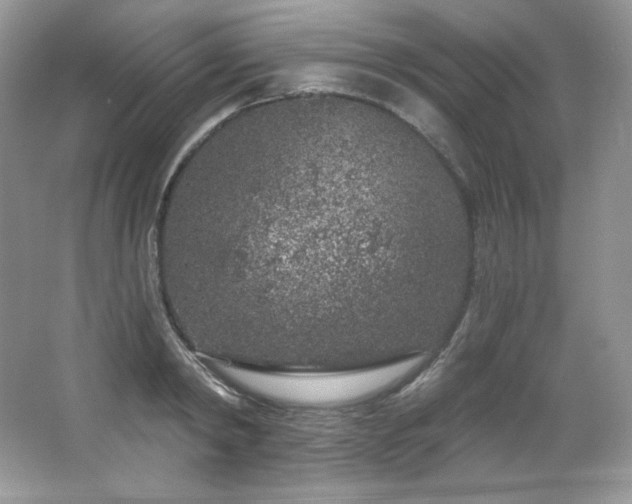 X0000065260798200602171453