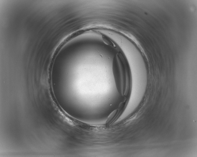 X0000065260799200602171453