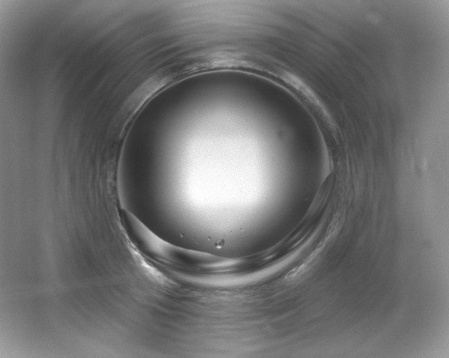 X0000065260801200602171453