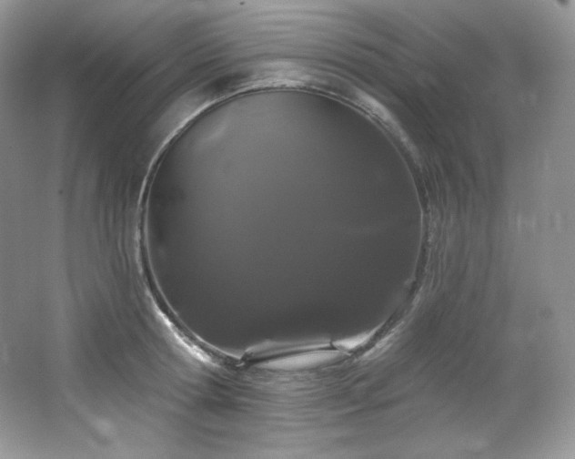 X0000065260802200602171453