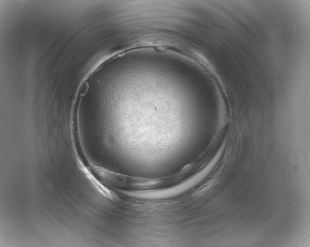 X0000065260803200602171453