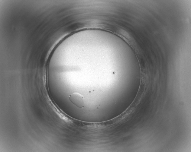 X0000065260804200602171453