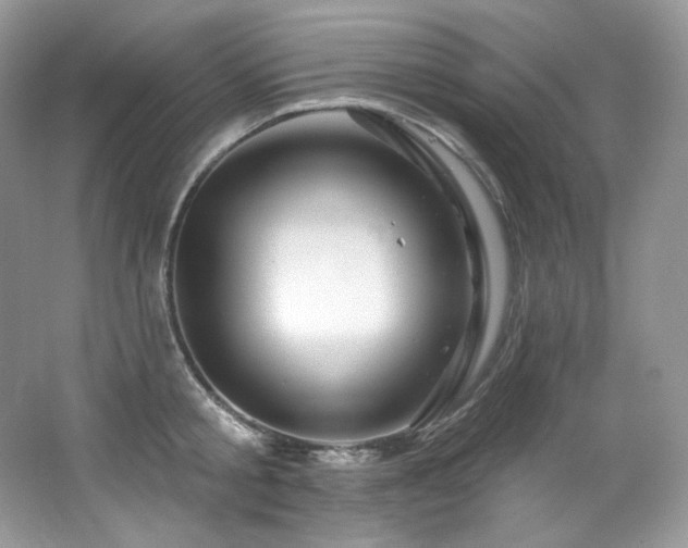 X0000065260805200602171453