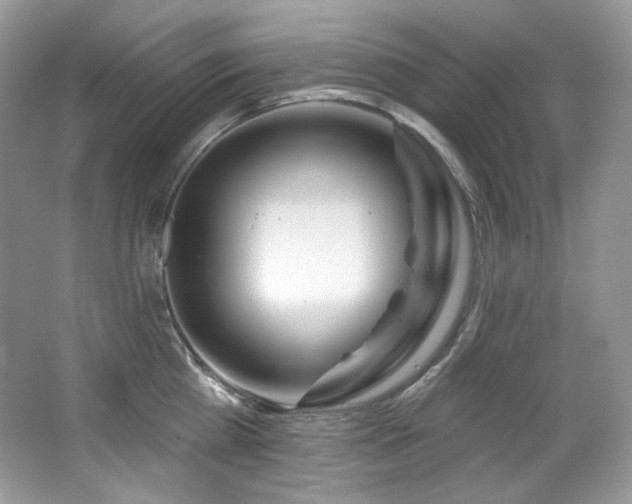 X0000065260809200602171453