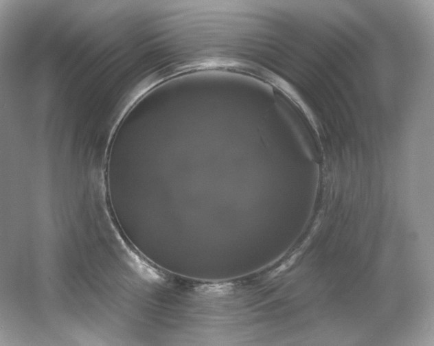 X0000065260810200602171453