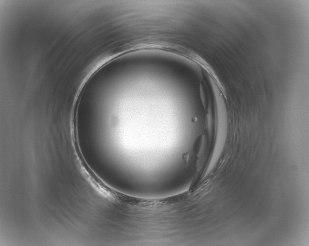 X0000065260811200602171453