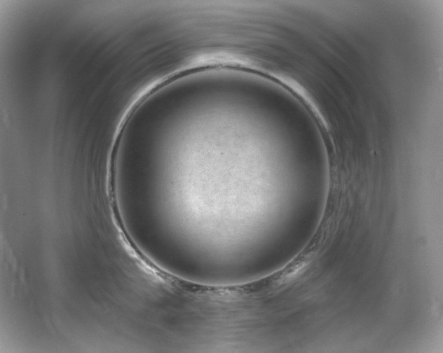 X0000065260815200602171453