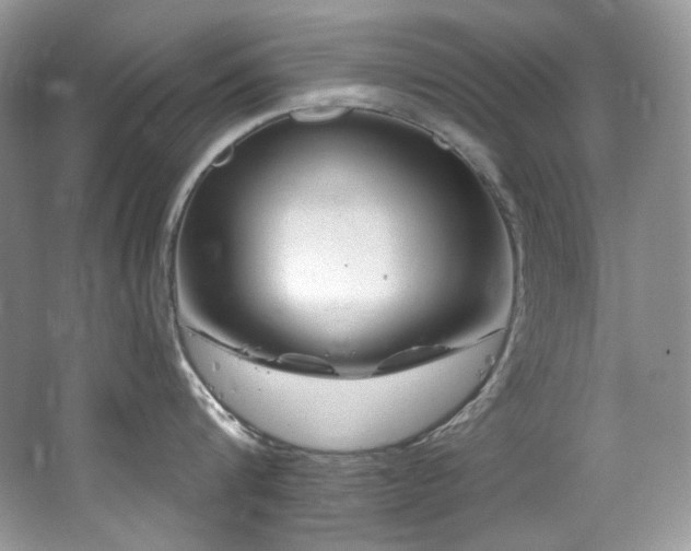 X0000065260816200602171453