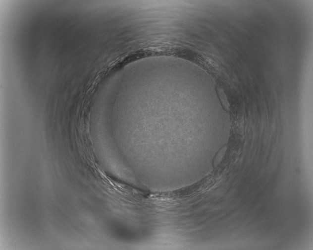 X0000065260817200602171452