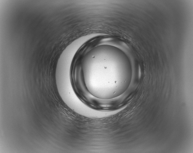 X0000065260818200602171452