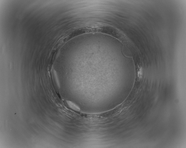 X0000065260819200602171452