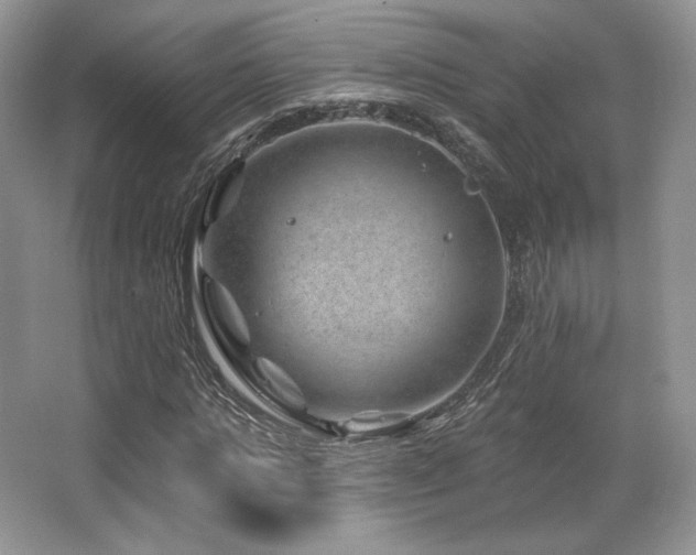 X0000065260821200602171452