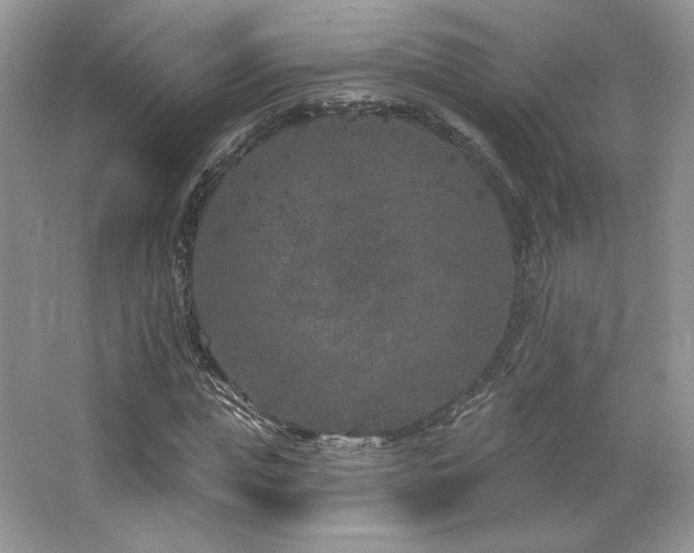 X0000065260823200602171452