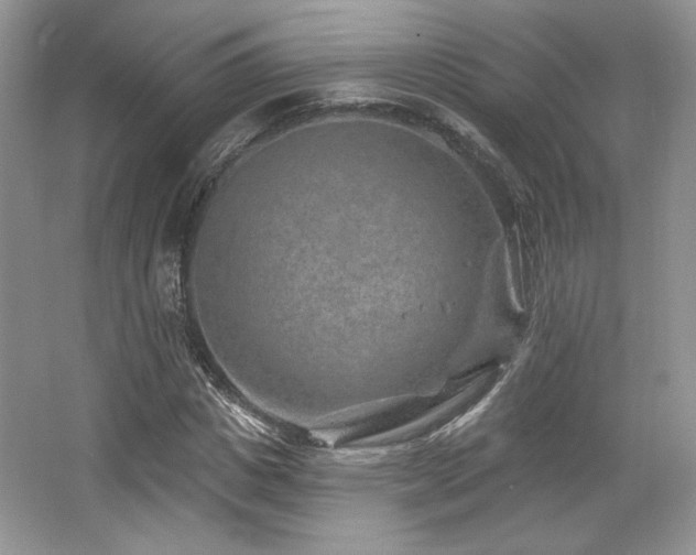 X0000065260825200602171452