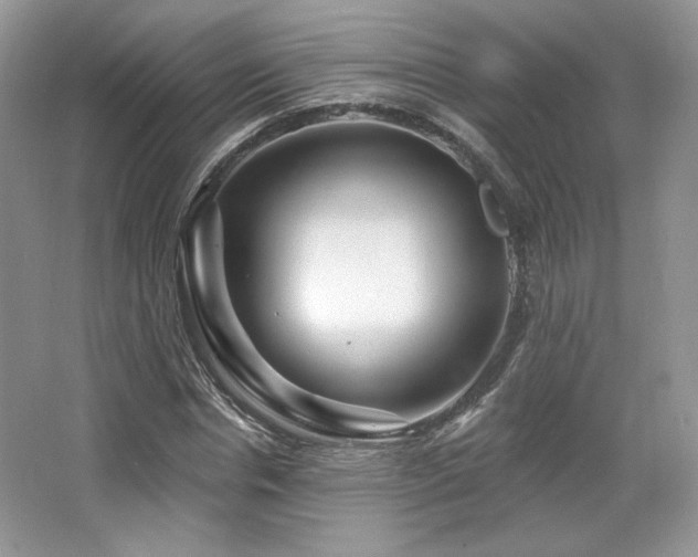 X0000065260826200602171452