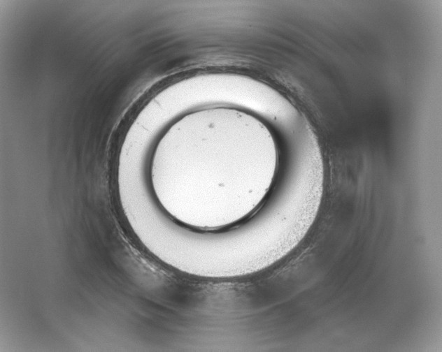 X0000065260828200602171452