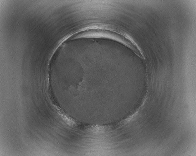 X0000065260829200602171452