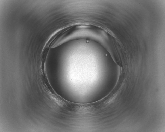 X0000065260830200602171452