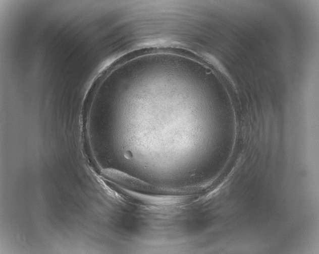 X0000065260831200602171452