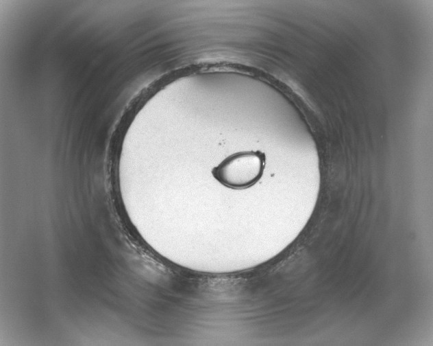 X0000065260832200602171452