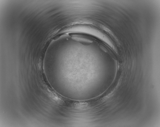 X0000065260833200602171452