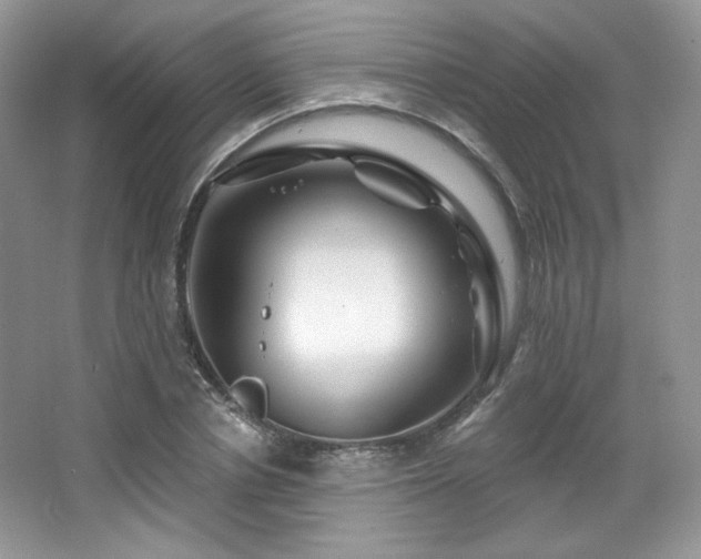 X0000065260834200602171452