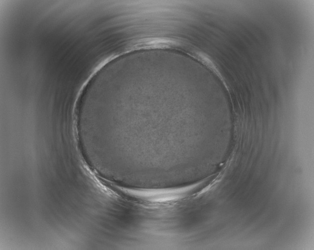 X0000065260835200602171452