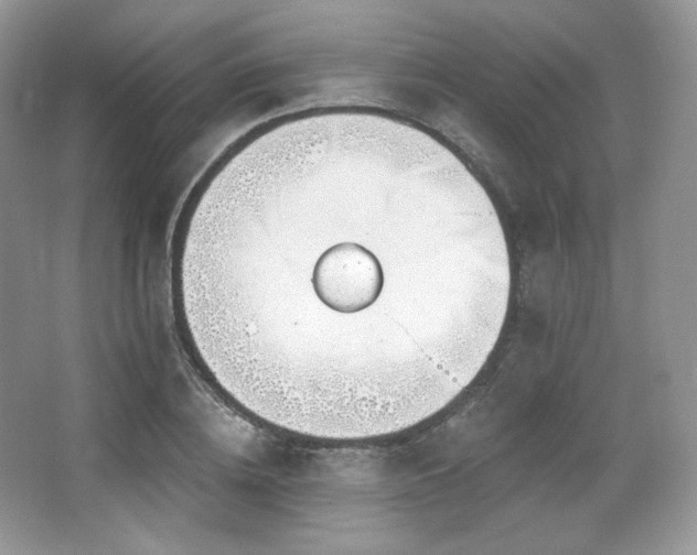 X0000065260836200602171452