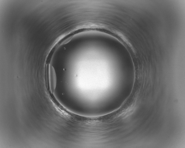 X0000065260837200602171452