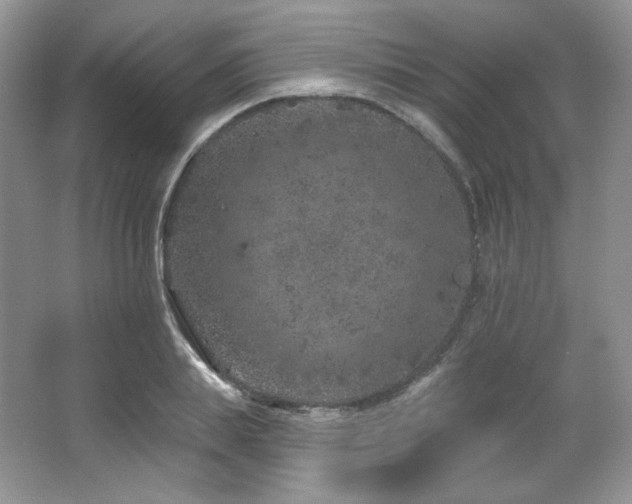 X0000065260839200602171452