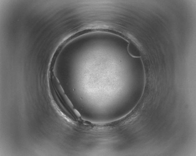 X0000065260840200602171452