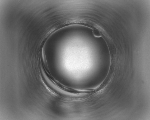 X0000065260841200602171452