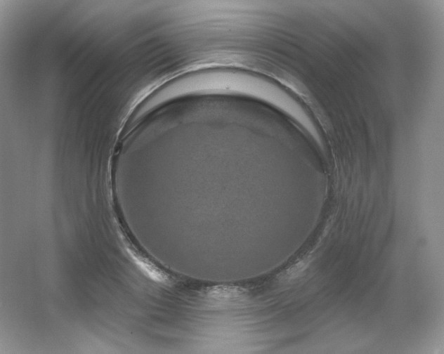 X0000065260842200602171452