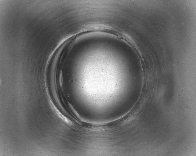 X0000065260843200602171452