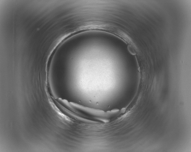 X0000065260844200602171452