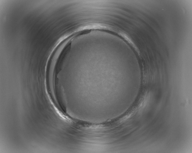 X0000065260845200602171452