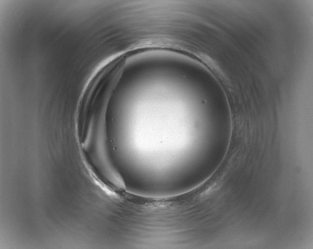 X0000065260846200602171452