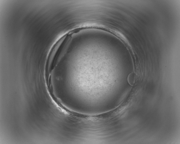 X0000065260847200602171452