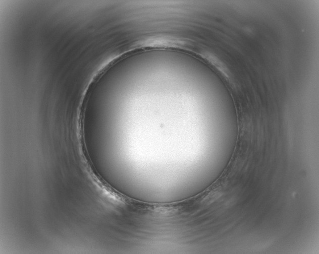 X0000065260848200602171452