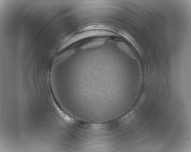 X0000065260849200602171452