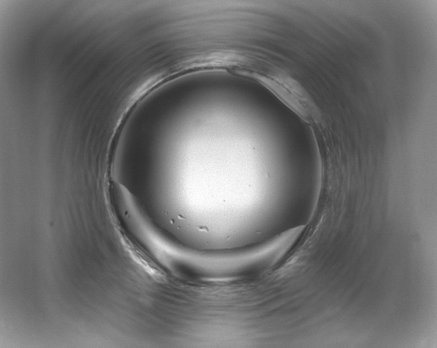 X0000065260850200602171452